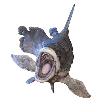 3D插图毛索尼鱼在白色