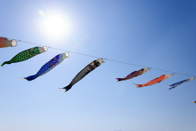 碧空鲤鱼飘浮
