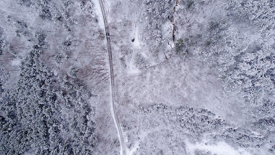 雪山森林与道路
