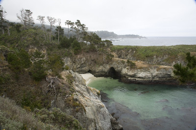 加州洛基海岸:中国海滩在Point Lobos