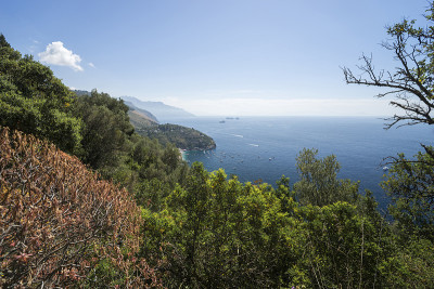 Marina del Cantone, Nerano，意大利