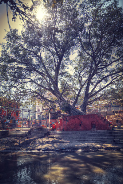 Pashupatinath寺