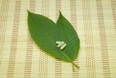 药用胶囊，药物和三叶(kratom)是泰国草药，鼓励健康垫