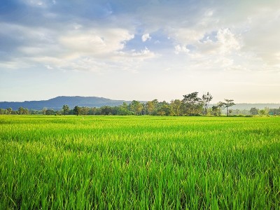 绿色和蓝色的天空背景。