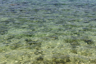 热带海岸
