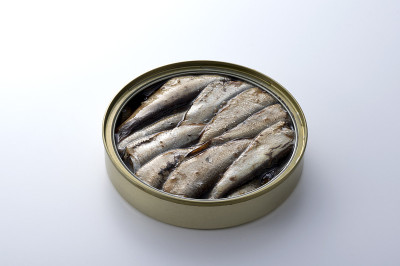 沙丁鱼