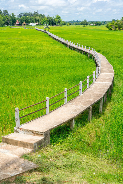 稻田混凝土栈道鸟瞰图