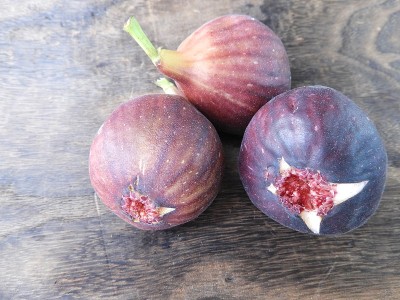 figs3