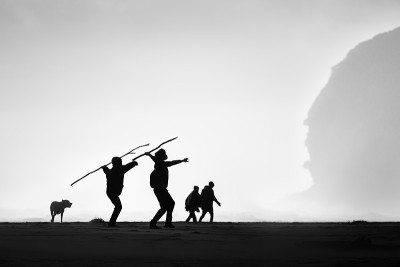 人们和狗在奥克兰多风的皮哈海滩散步和玩耍