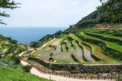 达兰吉村梯田