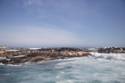 海豹岛,开普敦