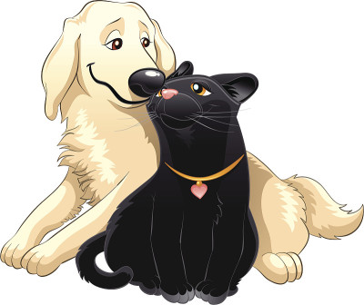 可爱的猫和狗