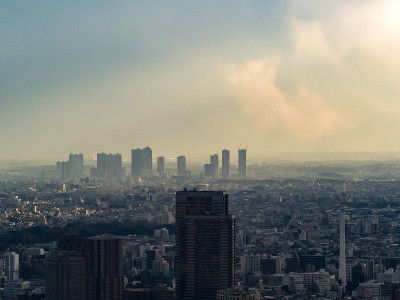城市森林
