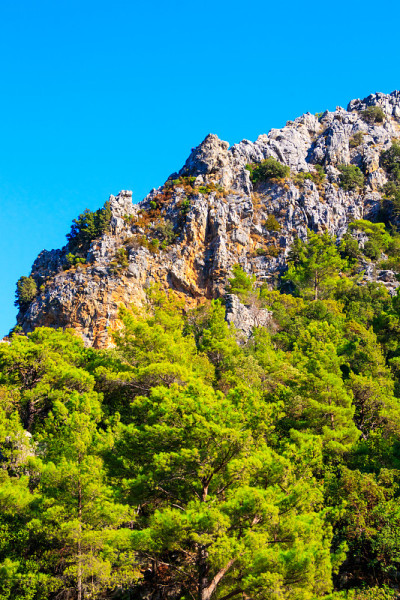 青山