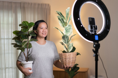 亚洲女性用智能手机在线直播，在家里卖人造植物