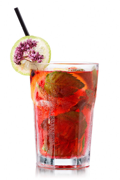 因mojito