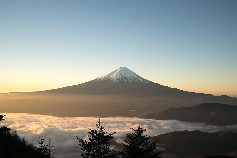 牵牛花富士山和云海，山梨，日本