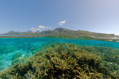 莫雷亚泻湖