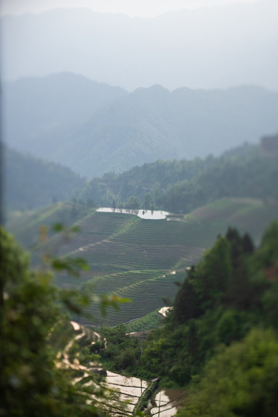 梯田景观
