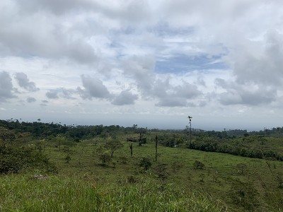 景观6