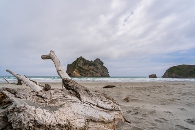 新西兰北岛，纳尔逊，瓦拉里基海滩，金湾，波纹沙和岩层
