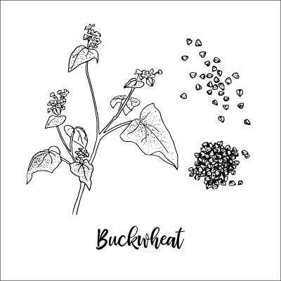 荞麦、荞麦、荞麦、荞麦、荞麦、荞麦、荞麦、荞麦、荞麦、荞麦、荞麦、荞麦。