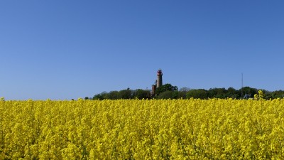 油菜籽油与灯塔在rügen，德国