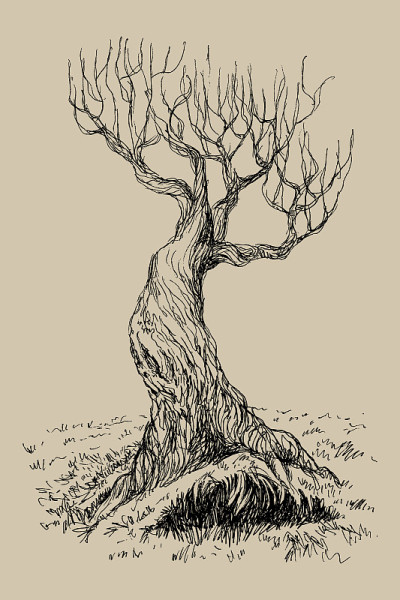 手绘的老神秘树矢量插图。孤立插图雕刻风格。复古的风格。