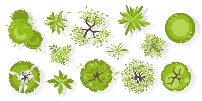 树视图。不同颜色的植物和树木向量集合，用于建筑和景观设计。图形，孤立在白色上。矢量插图。设计项目的要