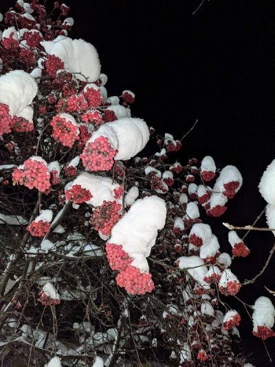 红山灰的背景下，夜空被白雪覆盖