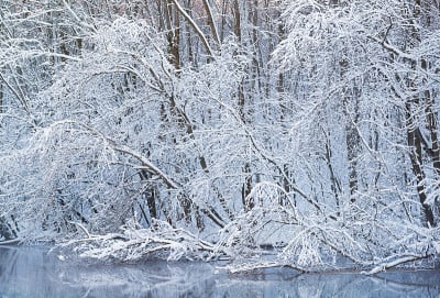 冬天，卡拉马祖河沿岸积雪密布