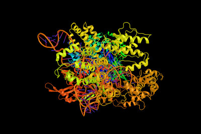 CRISPR-CAS9 (3d结构)，一种基因编辑复合体。CRISPR是含有短的重复碱基序列的原核D