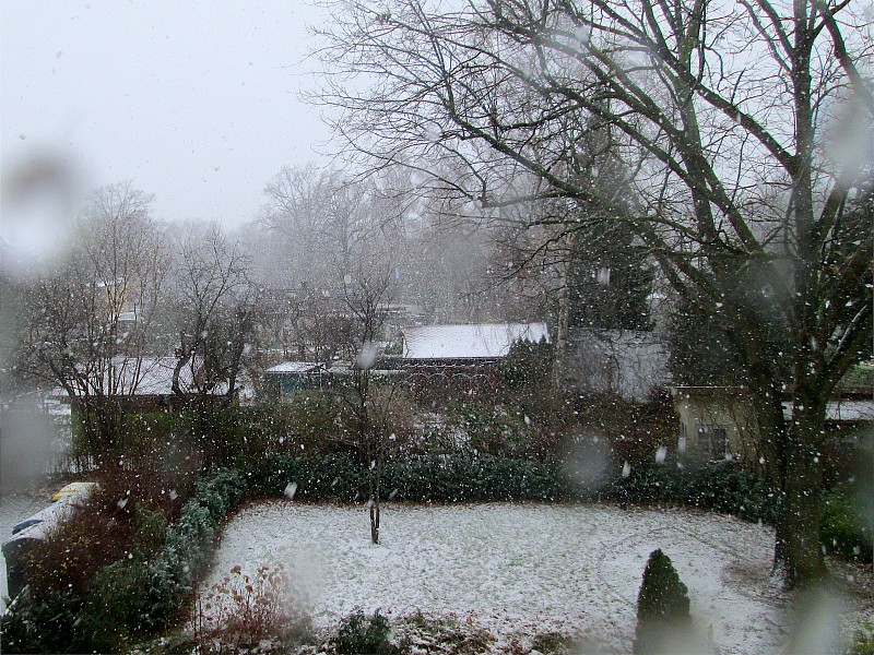 小区冬雪绿庭院，光秃秃的树木透过玻璃水滴