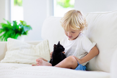 孩子和小猫玩耍。孩子和小猫。