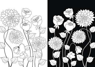 黑白花