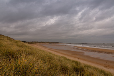 英国诺森伯兰郡(Northumberland)的一个被遗弃的Embleton海湾，穿过marram草