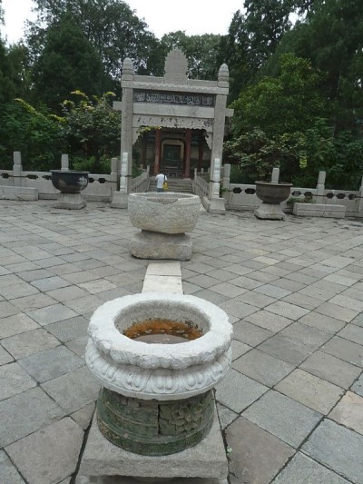 上海的中国花园