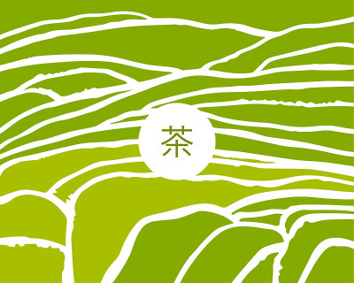 茶树在梯田里。中国茶题