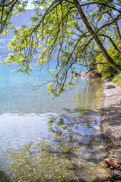 瑞士湖Brienz