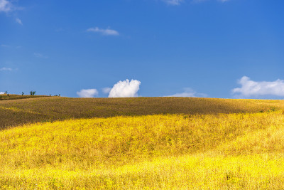 巴西利卡塔Val D'Agri的夏季乡村景观和鲜花田