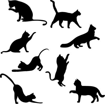 猫收集-向量剪影