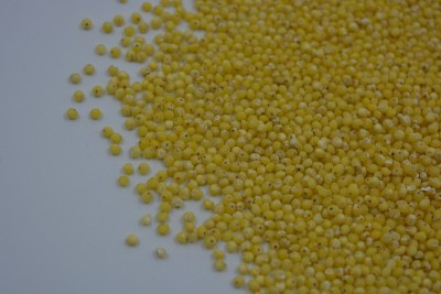 Very healthy and useful free-flowing groats, yello