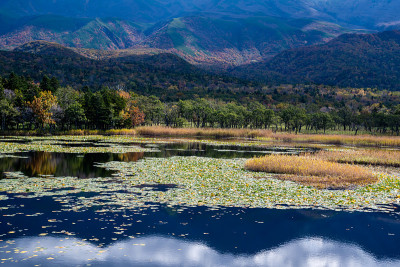 知子五湖(知子五湖)，秋叶，知子，北海道，日本