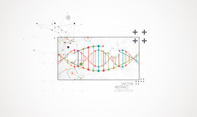 艺术科学模板，壁纸或带有DNA分子的横幅。