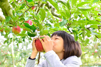 摘水果的日本女孩