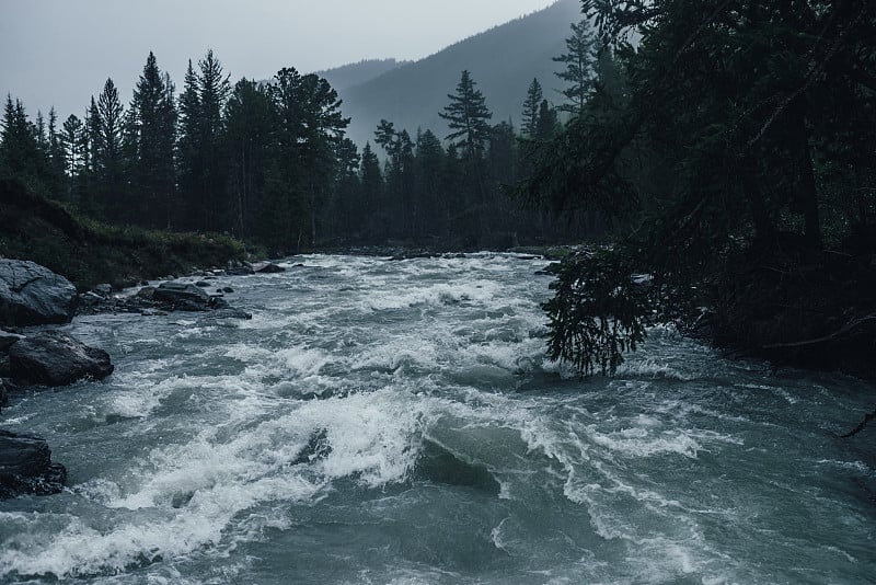 阴雨景观与强大的山河在大雨中。在降雨中湍流急流的黑暗大气视图。山溪在黑暗的森林在倾盆大雨。强大的山河