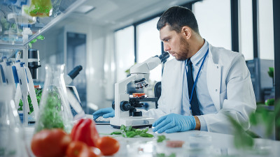英俊的男性科学家戴着安全眼镜，通过先进的显微镜分析实验室生长的食物样本。微生物学家利用现代实验室的技