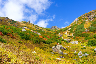 长野秋日的四郎町山径