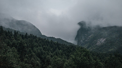 中国江西明月山上的森林
