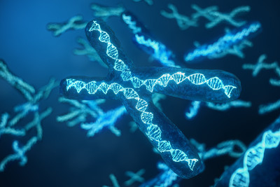 3D插图x染色体与携带遗传密码的DNA。遗传学概念，医学概念。未来,基因突变。在生物层面改变遗传密码